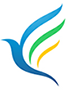 Blue Bird Networks logo